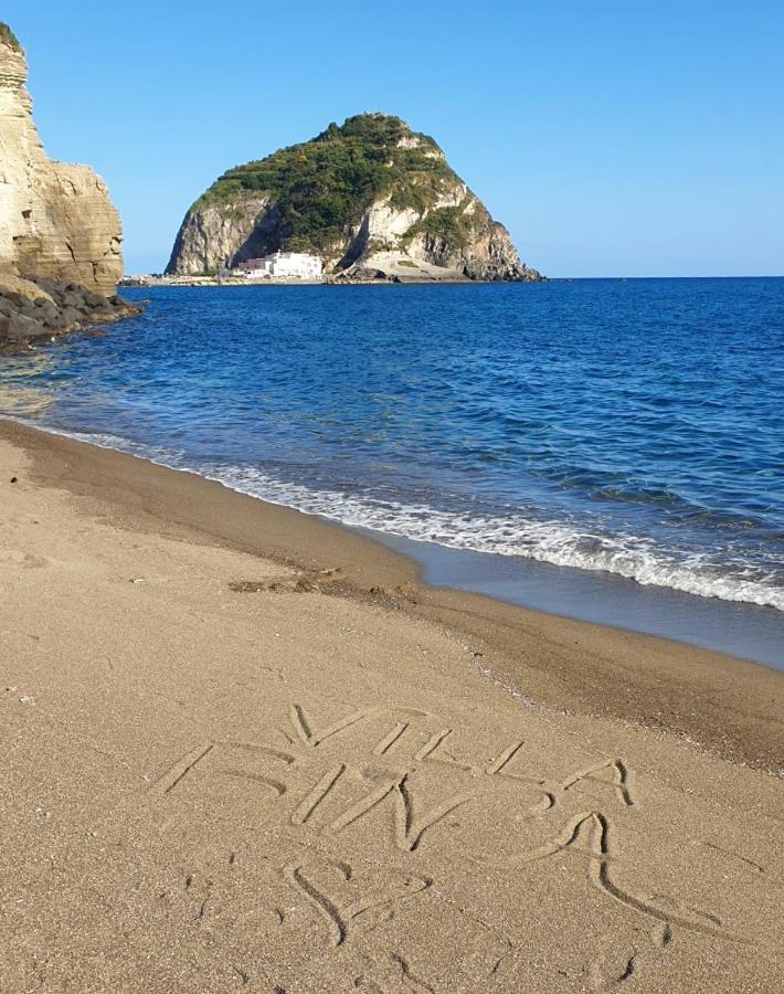 Villa Bina Sea Hotel Sant'Angelo  Dış mekan fotoğraf