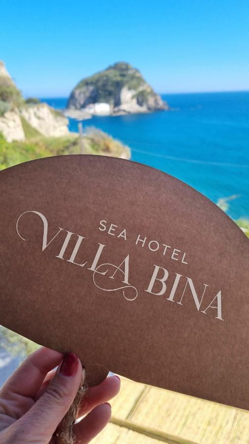 Villa Bina Sea Hotel Sant'Angelo  Dış mekan fotoğraf